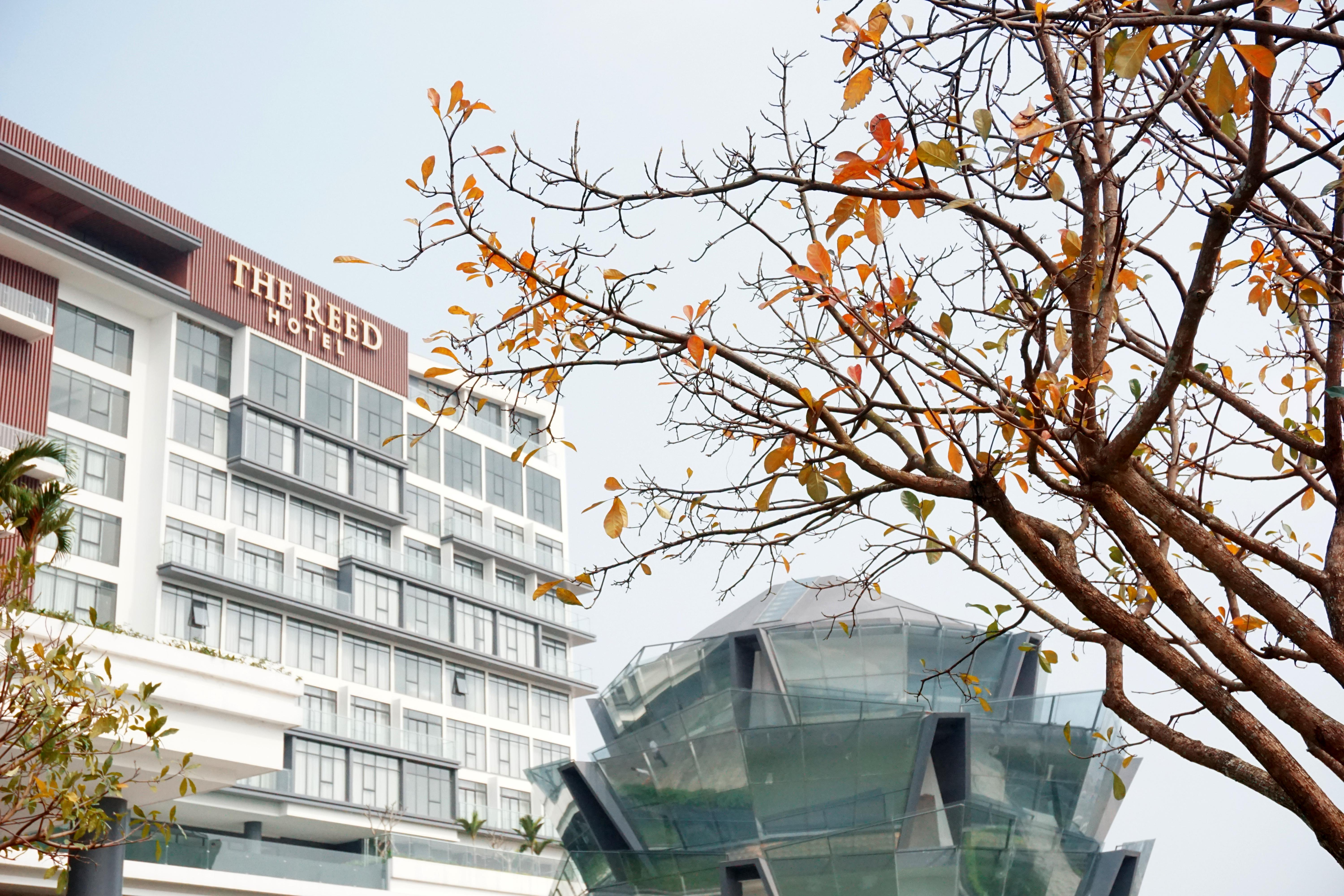The Reed Hotel Нин Бин Екстериор снимка